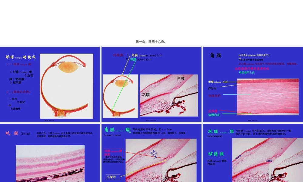 2022年医学专题—组织学与胚胎学-眼球眼睑内耳(1).ppt