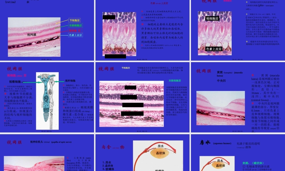 2022年医学专题—组织学与胚胎学-眼球眼睑内耳(1).ppt