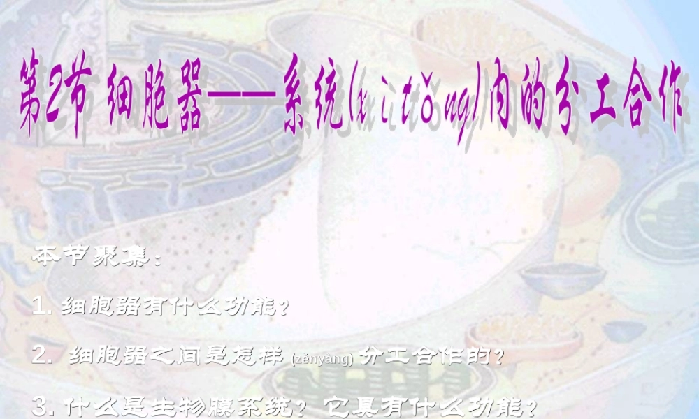 2022年医学专题—细胞器——系统内的分工合作12(1).ppt