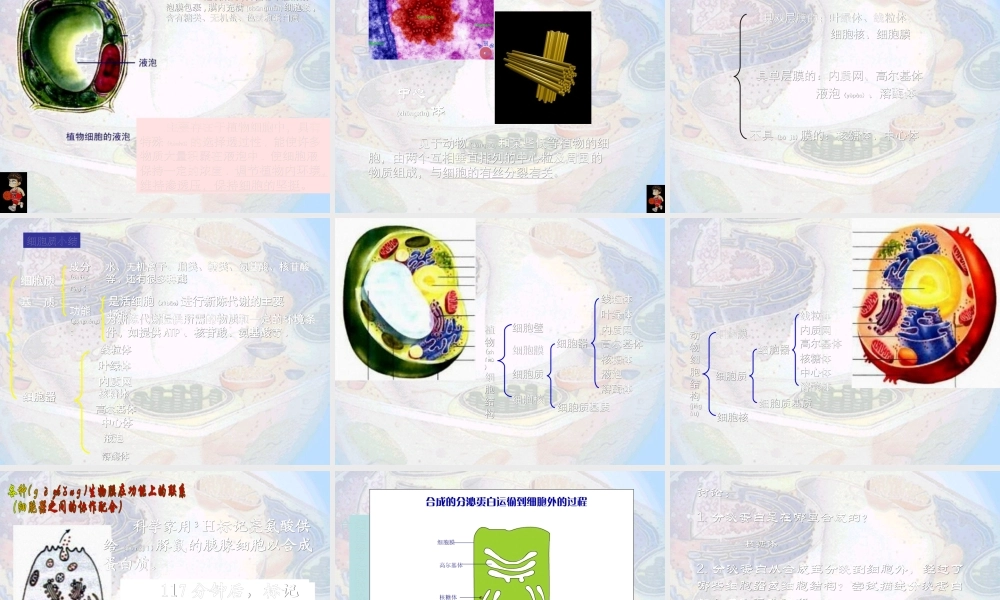 2022年医学专题—细胞器——系统内的分工合作12(1).ppt