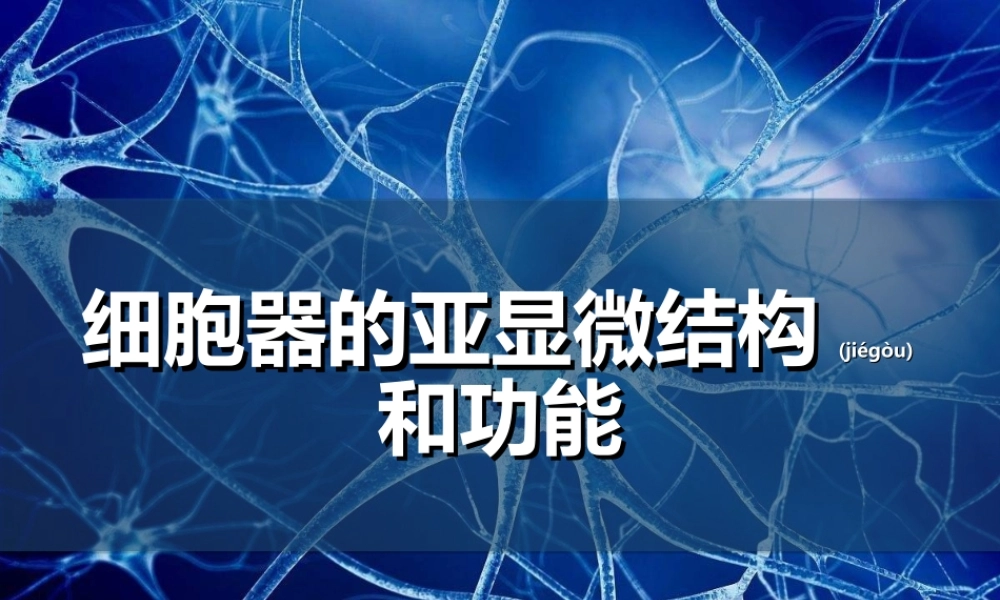 2022年医学专题—细胞器的亚显微结构和功能(1).ppt
