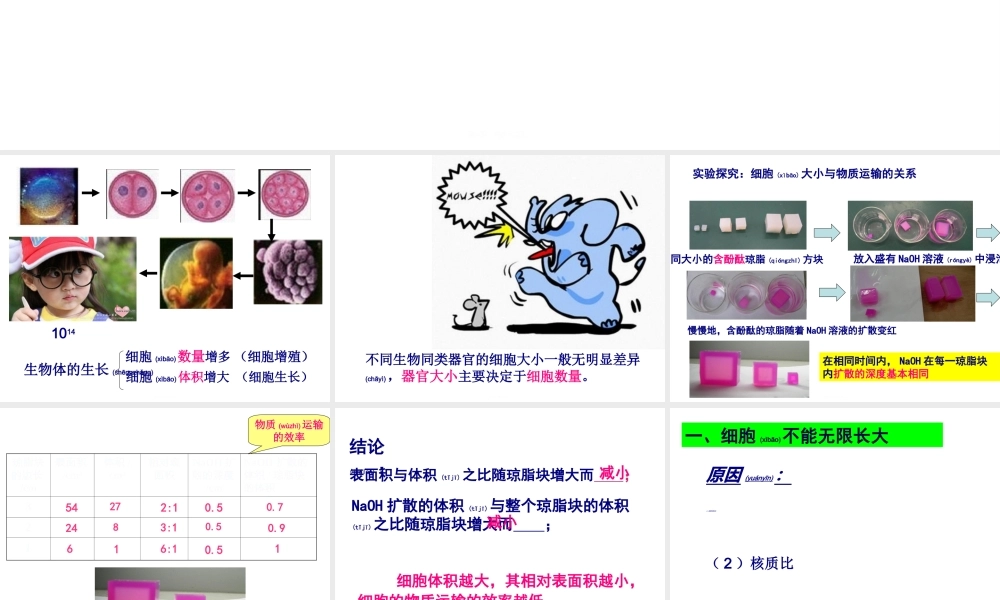 2022年医学专题—细胞的增殖(有动画)(1).ppt