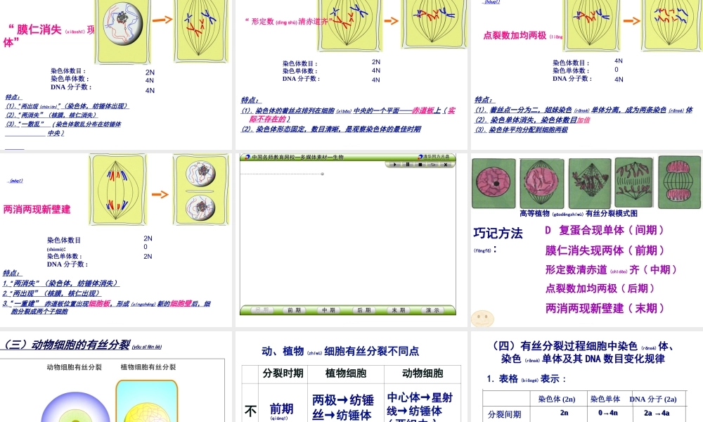 2022年医学专题—细胞的增殖(有动画)(1).ppt