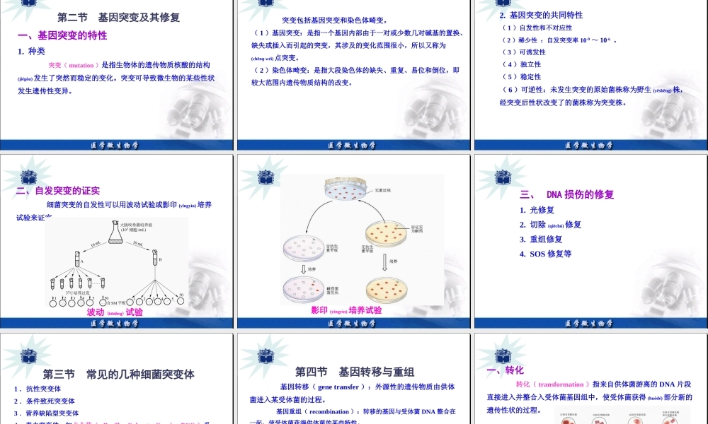 2022年医学专题—细菌的遗传和变异(1).ppt