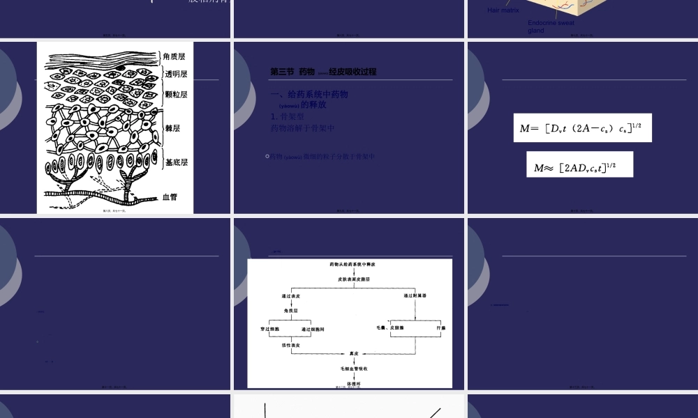 2022年医学专题—经皮给药系统.心得(1).ppt