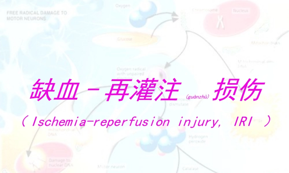 2022年医学专题—缺血再灌注损伤PPT(1).ppt