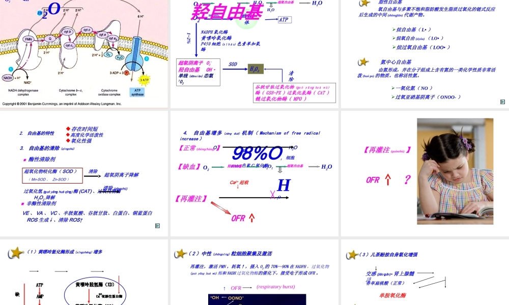 2022年医学专题—缺血再灌注损伤PPT(1).ppt
