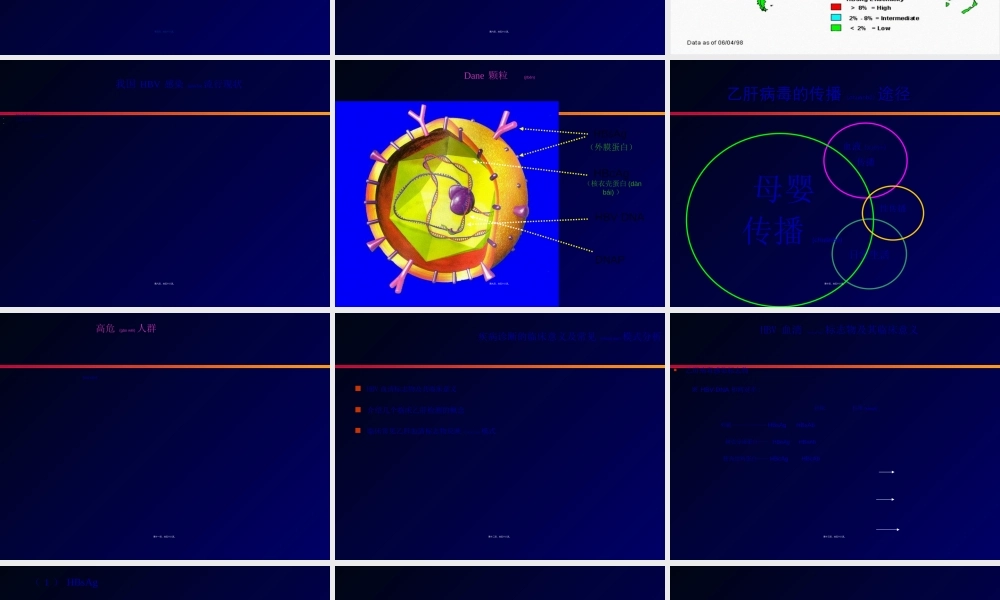 2022年医学专题—肝炎标志物介绍(1).ppt