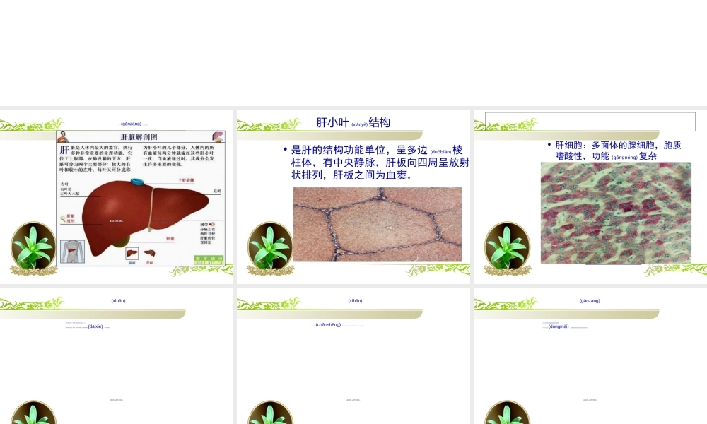 2022年医学专题—肝硬化-上消化道出血PPT(1).ppt