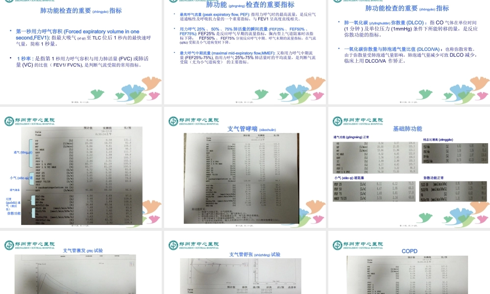 2022年医学专题—肺功能(1).pptx