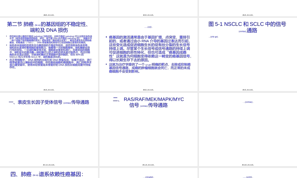2022年医学专题—肺癌—科研之路(1).ppt