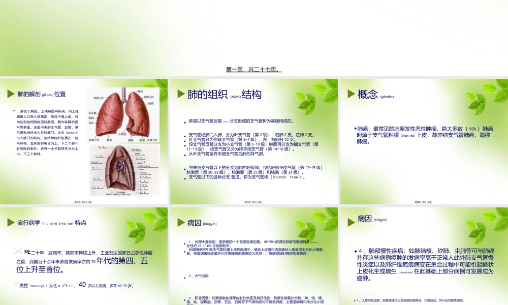 2022年医学专题—肺癌的相关知识(1).ppt