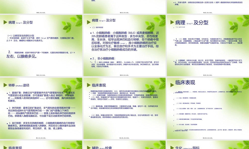 2022年医学专题—肺癌的相关知识(1).ppt