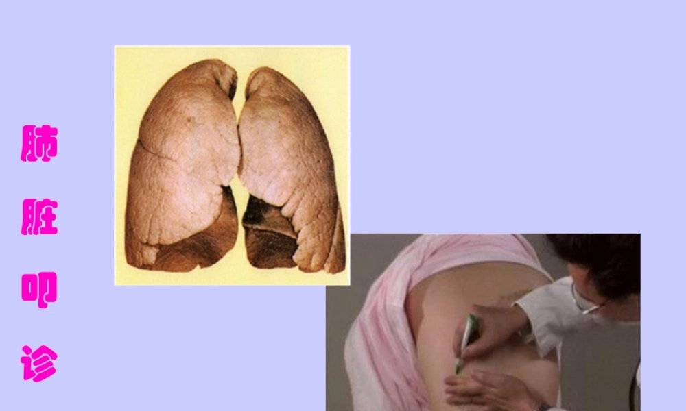 2022年医学专题—肺部叩诊(1).pptx