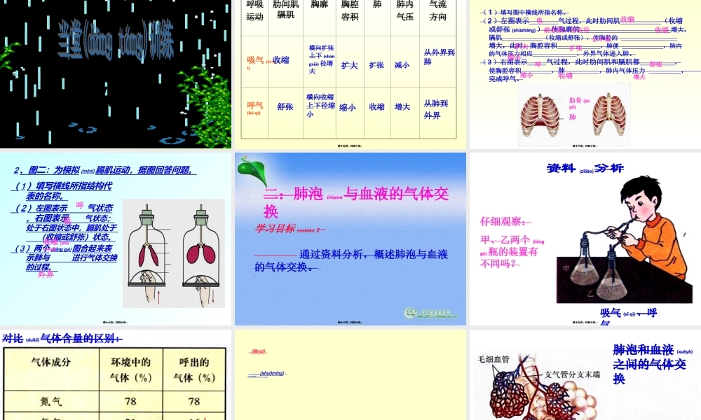 2022年医学专题—肺里的气体交换(1).ppt