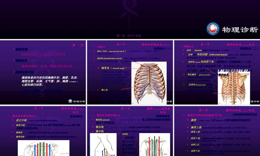 2022年医学专题—胸肺部(修改稿)(1).ppt