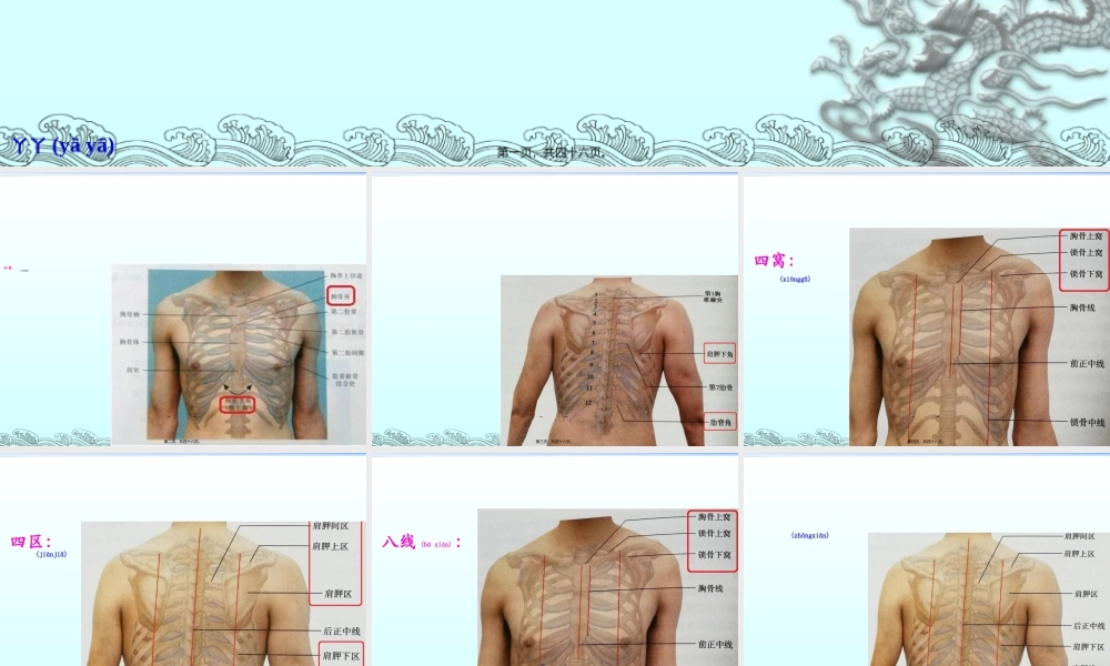 2022年医学专题—胸部体格检查-整理版(1).ppt