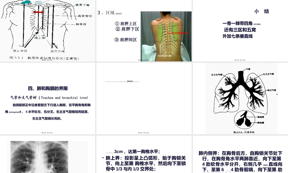 2022年医学专题—胸部检查1-(PPTminimizer)(1).ppt