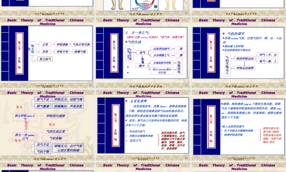 2022年医学专题—藏象学说-五脏肺概述(1).ppt
