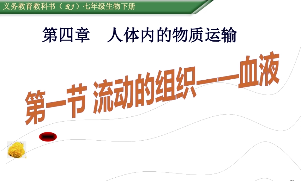 4.1-流动的组织——血液(共45张PPT)(1).pptx