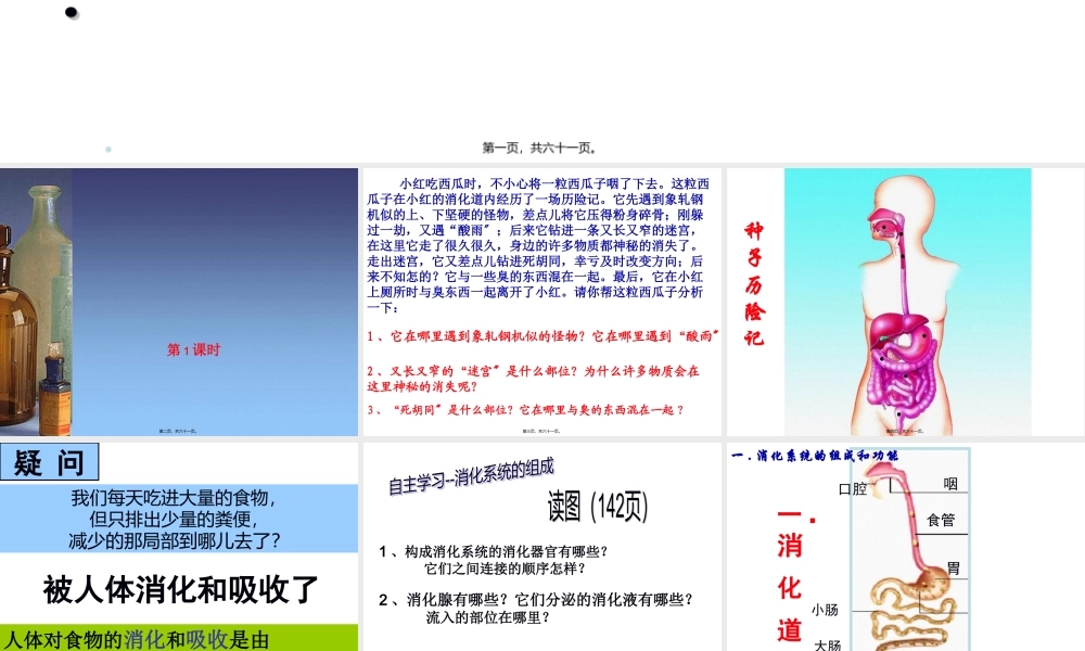 4.2食物的消化与吸收[60张PPT](1).pptx