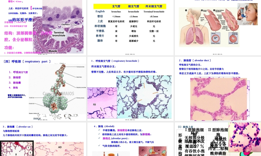 6-1呼吸系统皮肤(1).ppt