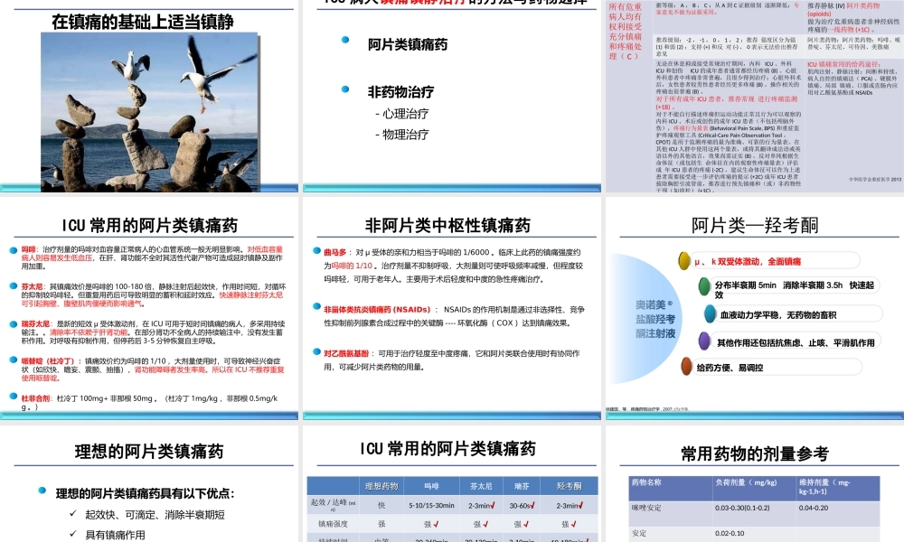 ICU镇痛(1).ppt