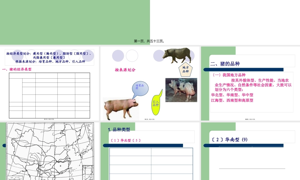 《养猪与猪病防治》-三、猪的类型与品种认识解读(1).pptx