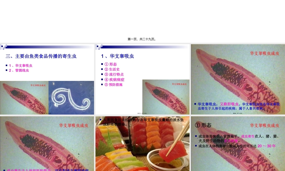 《烹饪营养与卫生》-第十六讲-食源性寄生虫病及其控制B-2012优化版(1).pptx