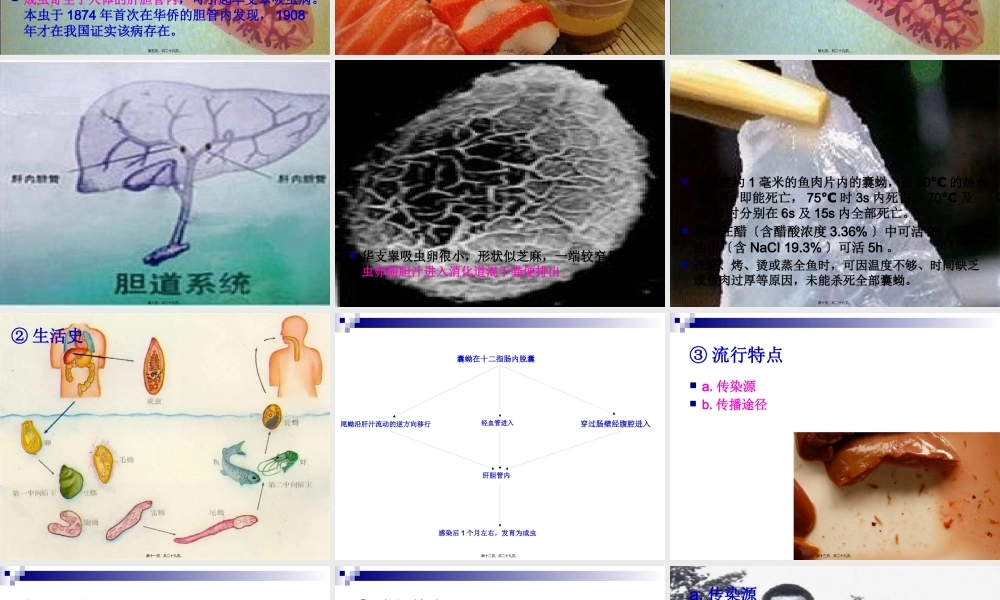 《烹饪营养与卫生》-第十六讲-食源性寄生虫病及其控制B-2012优化版(1).pptx