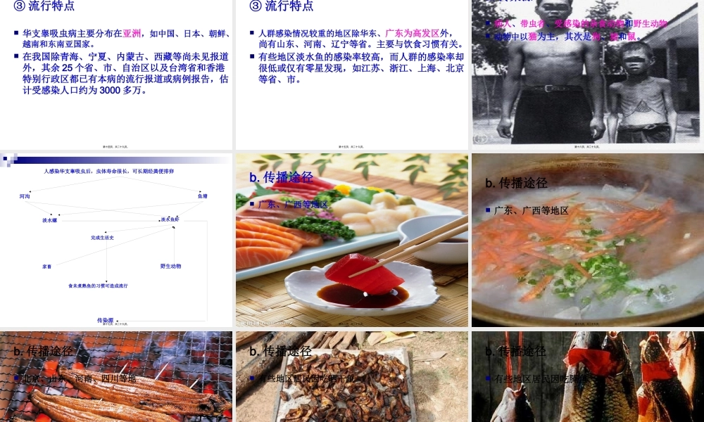 《烹饪营养与卫生》-第十六讲-食源性寄生虫病及其控制B-2012优化版(1).pptx