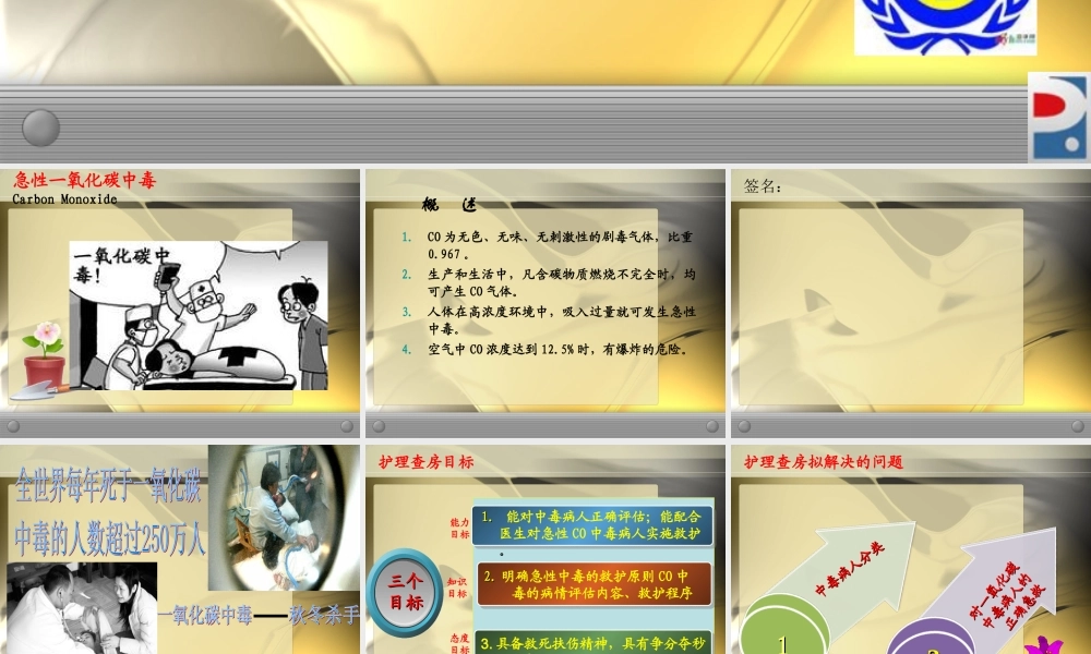 丁晓毛一氧化碳中毒11年2月(1).ppt