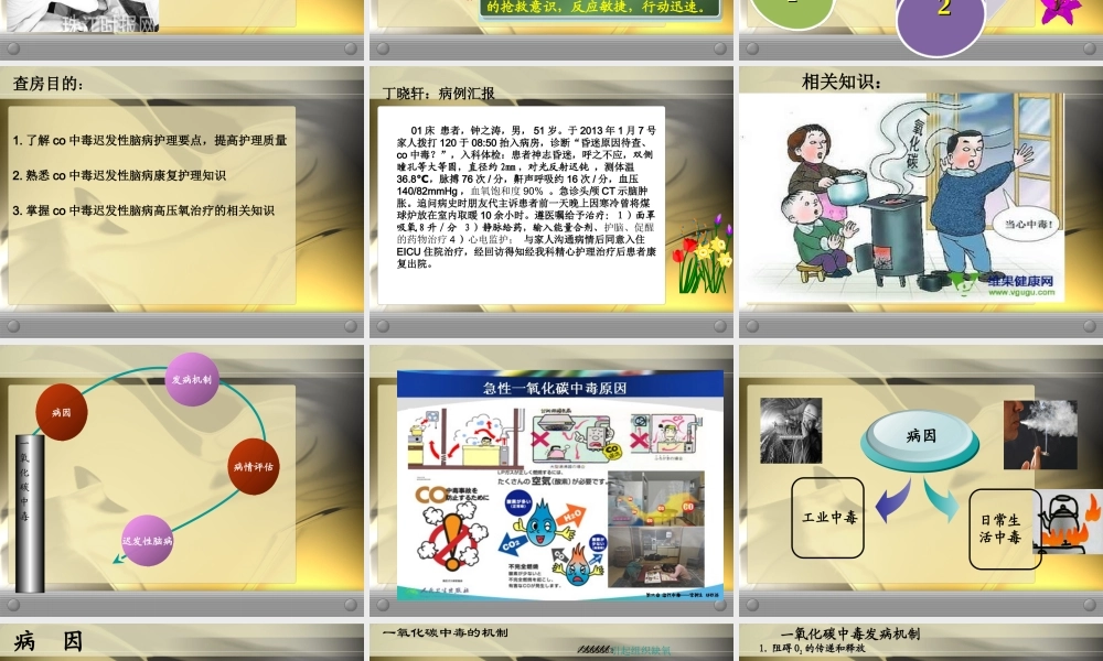 丁晓毛一氧化碳中毒11年2月(1).ppt
