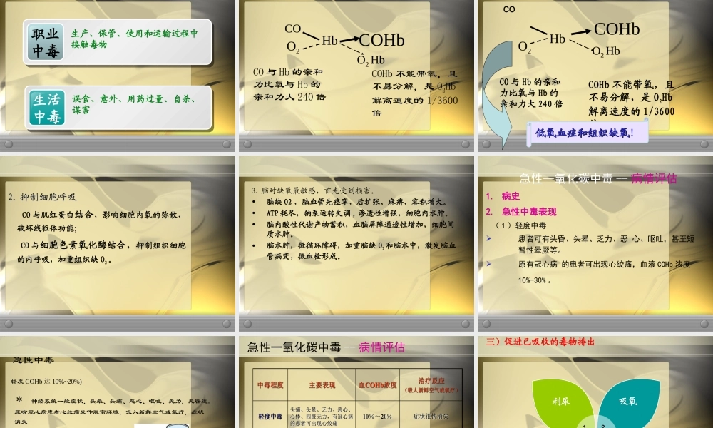 丁晓毛一氧化碳中毒11年2月(1).ppt