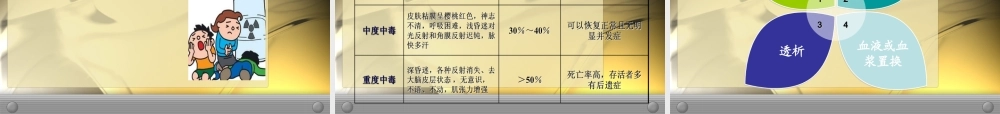 丁晓毛一氧化碳中毒11年2月(1).ppt