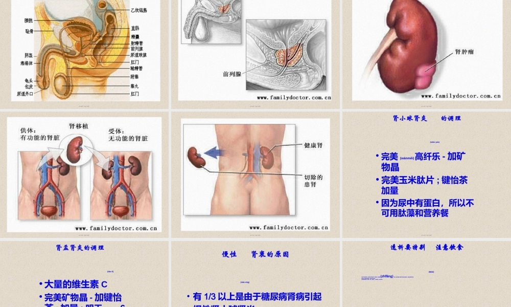 2022年医学专题—-泌尿系统2.ppt