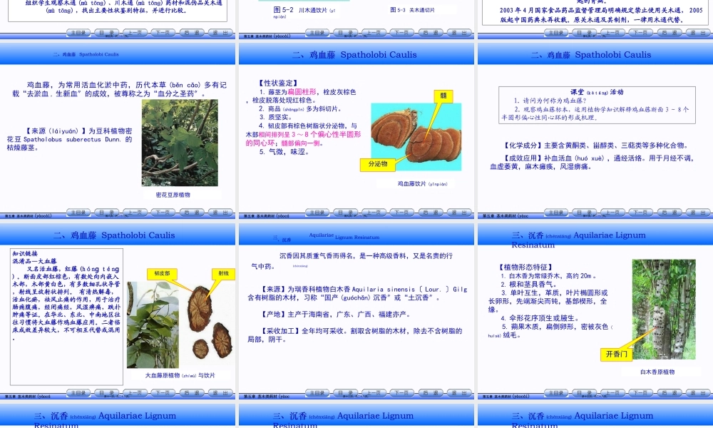 2022年医学专题—.茎木类药材.ppt