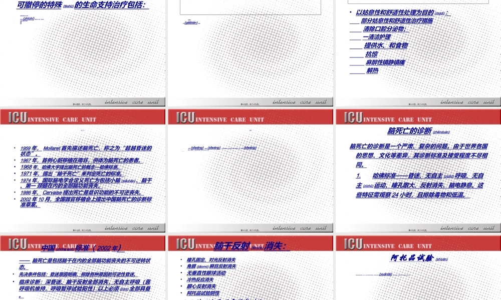 2022年医学专题—ICU病人的伦理和生命终结问题.ppt