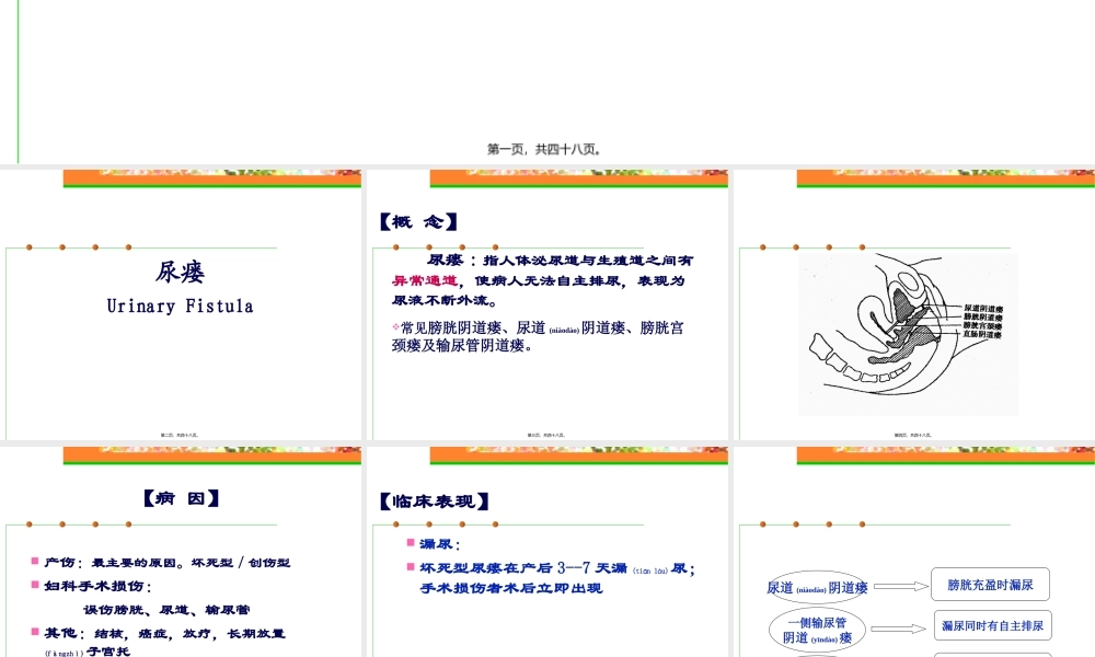 2022年医学专题—专科尿漏子宫脱垂(完整版).ppt