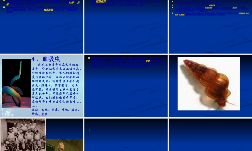 2022年医学专题—人体十大寄生虫概述.ppt