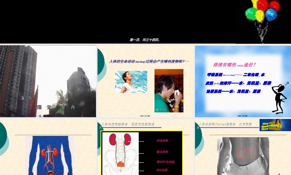 2022年医学专题—人体废物的排出.ppt