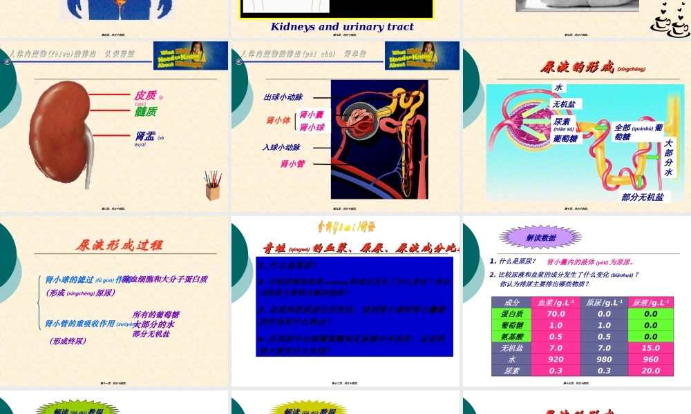 2022年医学专题—人体废物的排出.ppt