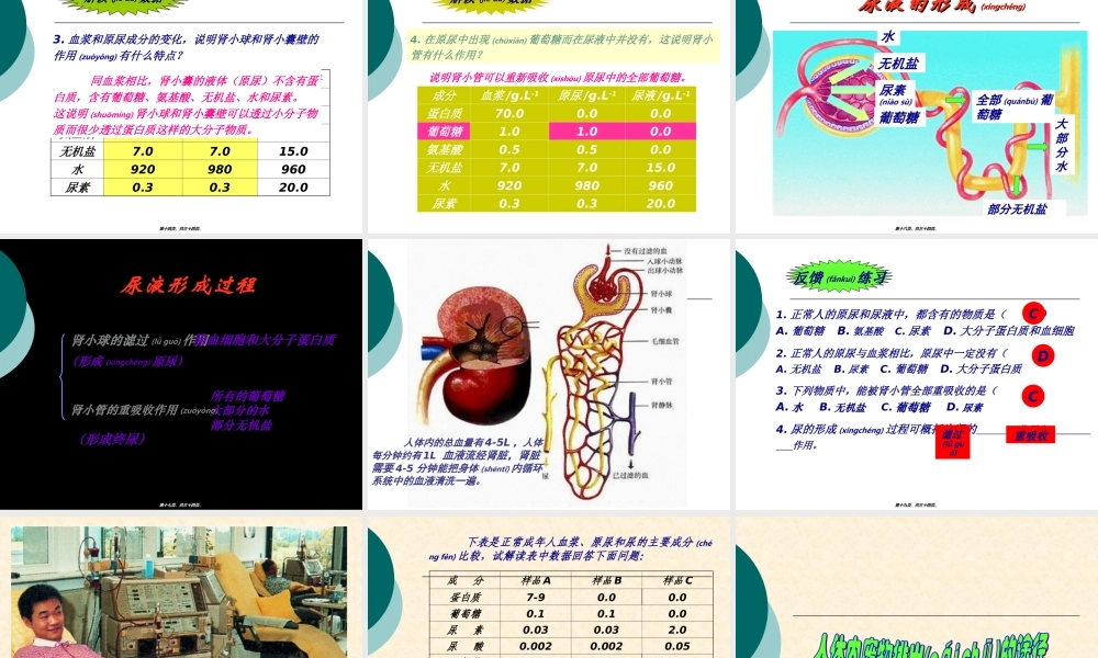 2022年医学专题—人体废物的排出.ppt