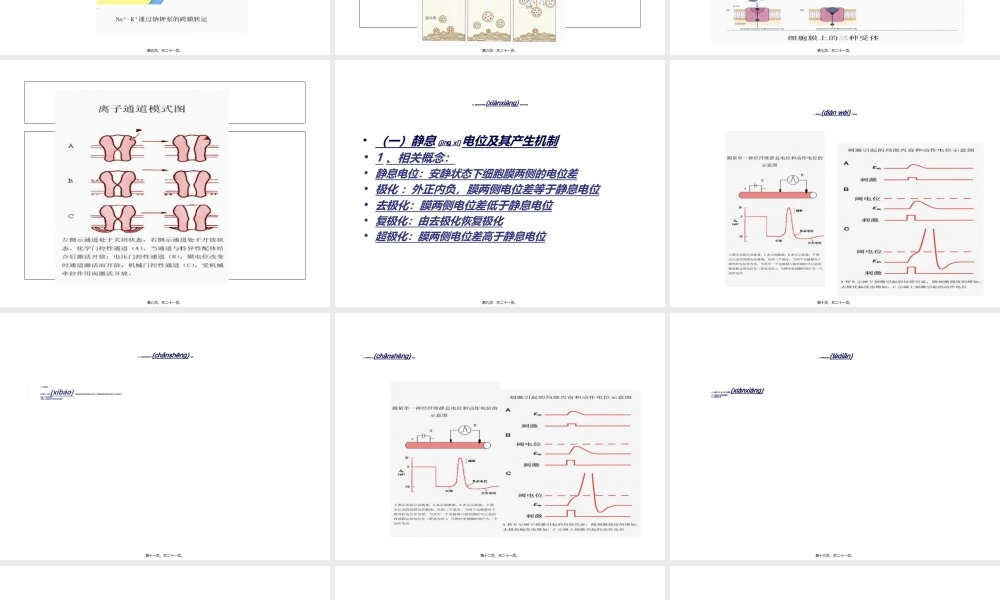 2022年医学专题—人体的基本生理功能.ppt