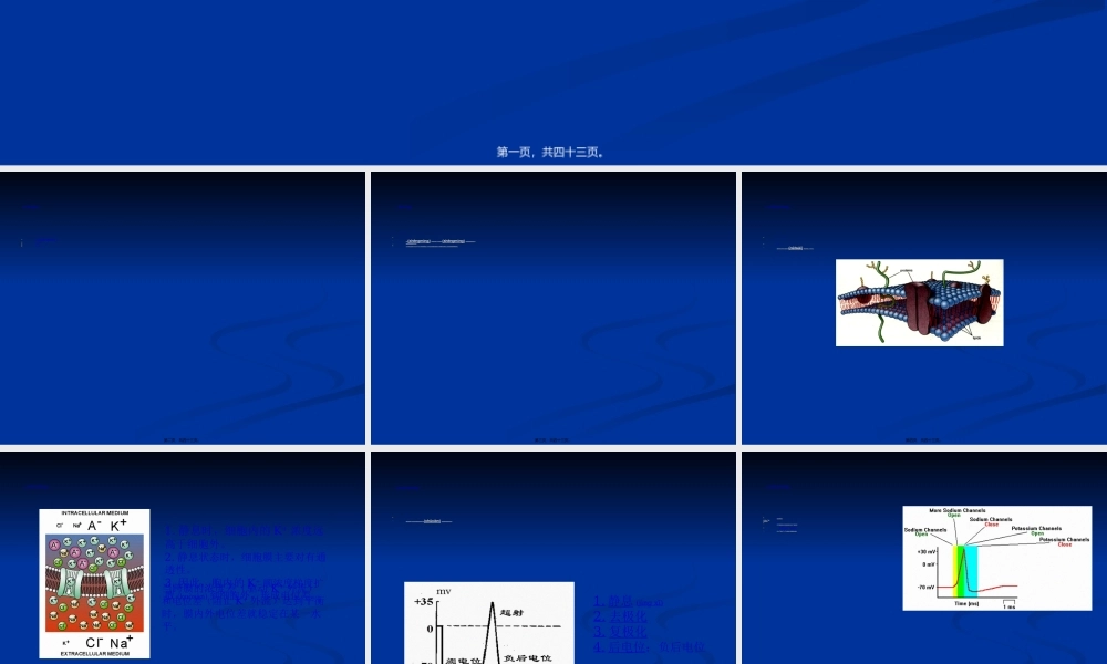 2022年医学专题—人体电阻抗.ppt