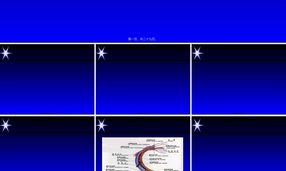 2022年医学专题—俯卧位脊柱手术与视力损害-蒋忠.ppt