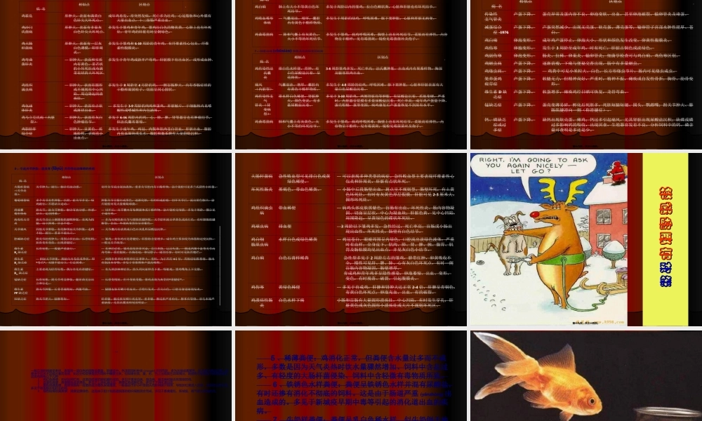 2022年医学专题—养鸡与鸡病防治演讲稿.ppt.ppt