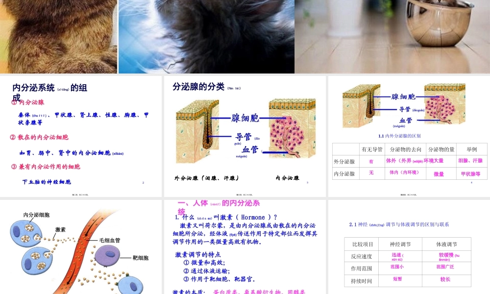 2022年医学专题—内分泌系统与体液调节(一).ppt