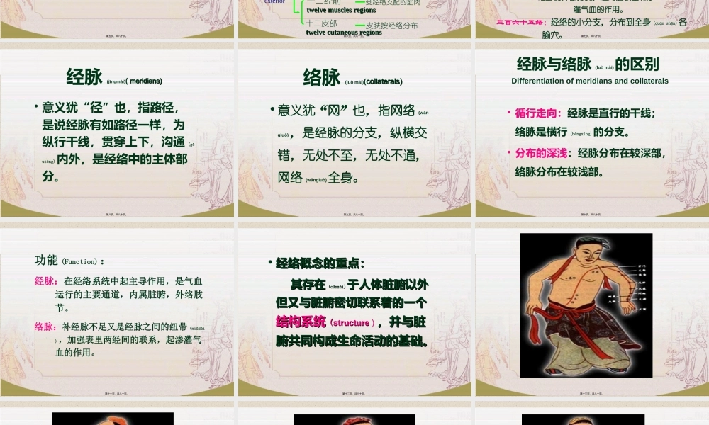 2022年医学专题—冲脉-四川大学.ppt