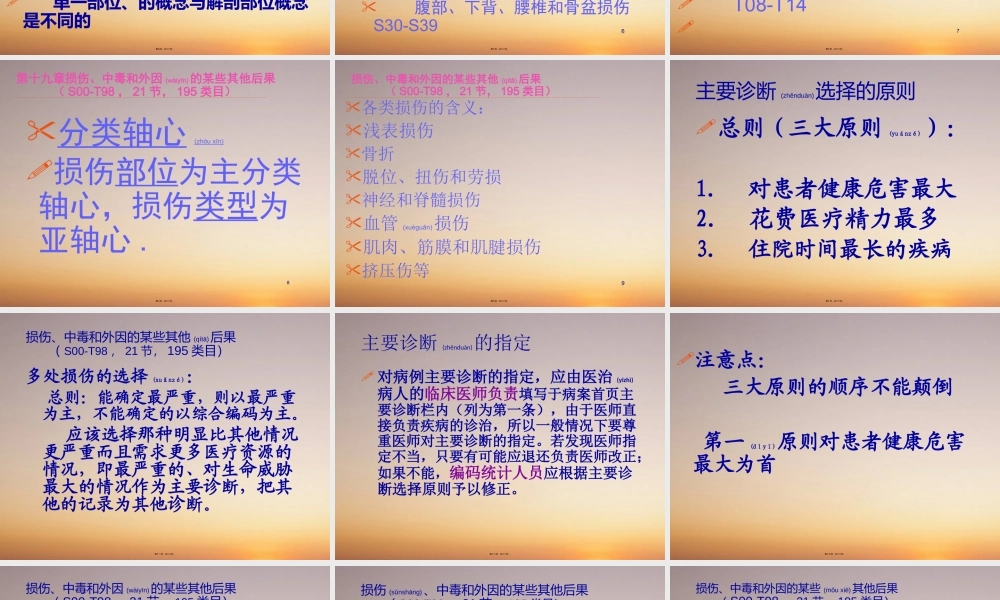 2022年医学专题—凤城医院损伤、中毒和外因的某些其他后果.ppt
